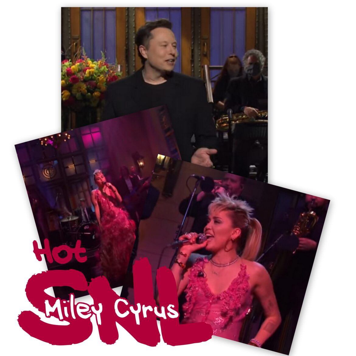 snlmiley