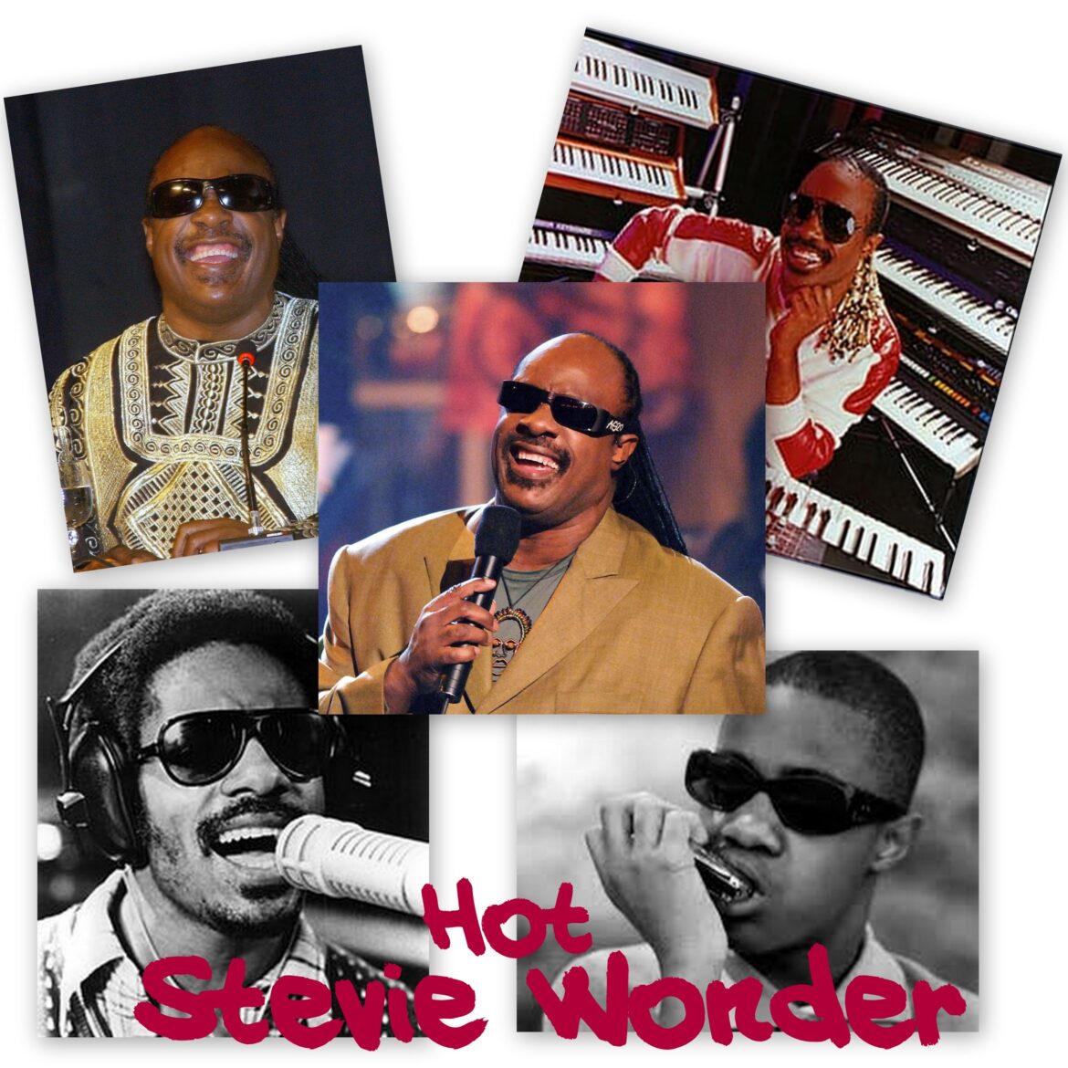 steviewonder