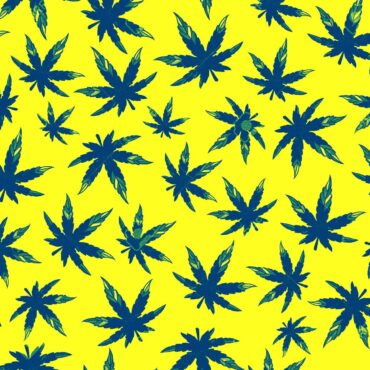cannabis