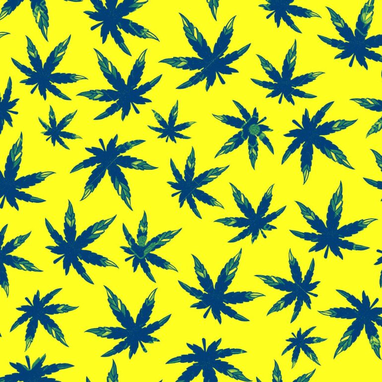 cannabis