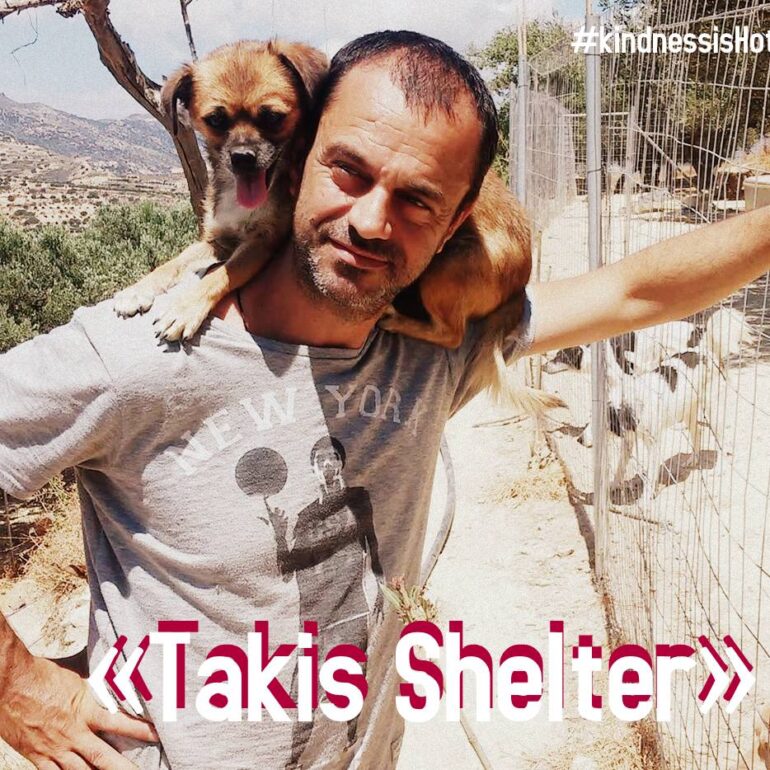 Takis Shelter