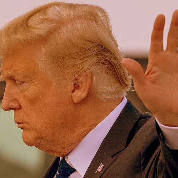 donald