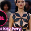 The Hot Katy Perry